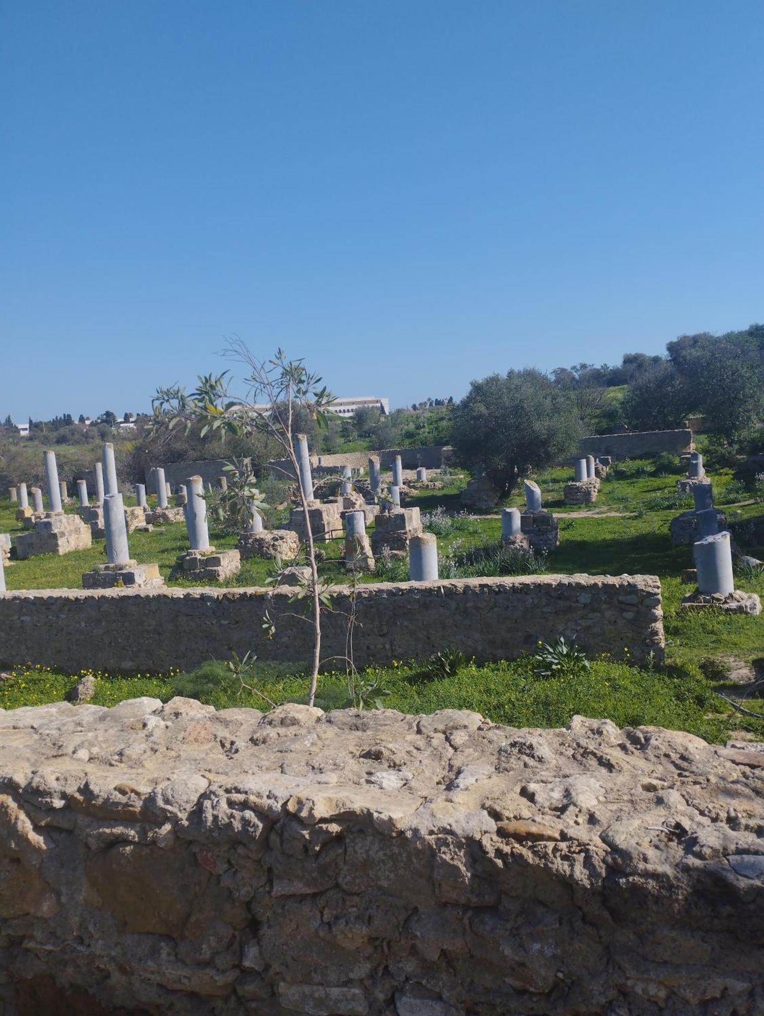 Appartement 2 A Carthage Byrsa Douar ech Chott Buitenkant foto